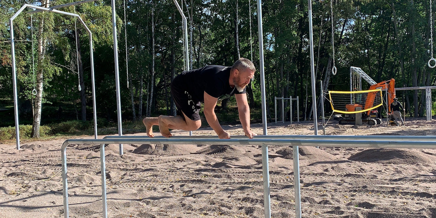 Lång barr